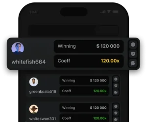 ios-version Web IOS play